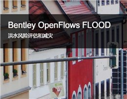 Bentley OpenFlows FLOOD 集成的洪水模拟软件