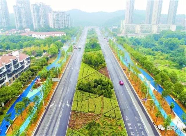 【道路建模】道路绿化带设计
